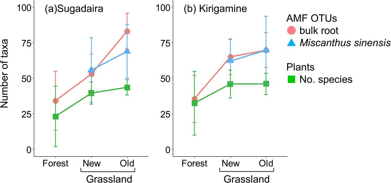 Cover image for Temporal continuity of habitat strengthens covariation between plant and arbuscular mycorrhizal fungal communities